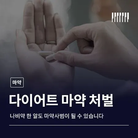다이어트 마약 처벌, 나비약 한 알도 마약사범이 될 수 있습니다