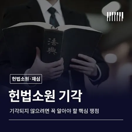 헌법소원 기각되지 않으려면 꼭 알아야 할 핵심 쟁점